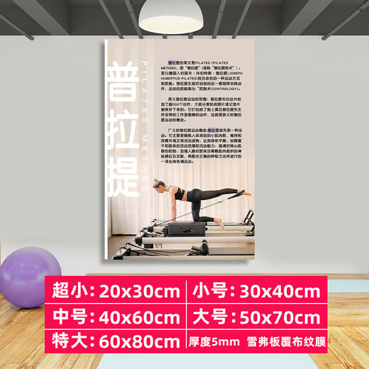 Sailoto Pilates hanging painting, body fitness, yoga studio, cultural wall, environmental creation, decorative painting, yoga classroom inspirational 01+ Pilates Medium