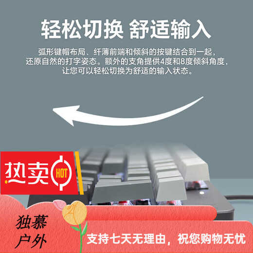 罗技（Logitech）K845机械键盘 有线键盘 办公电脑打字键盘  电竞游戏发光全尺寸个 罗技K845青轴蓝色妖姬