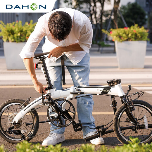 
DAHON Big Line 16-inch Mini Ultra Light 9 Speed ​​Folding Bicycle Student Adult Men and Women Cycling PAA693 AIR Cloud (White) 16-inch 16-inch