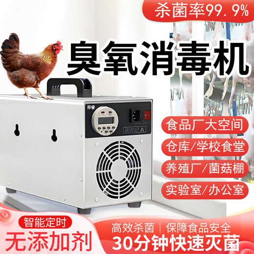Fenrui Fenrui ozone disinfection machine generator home decoration formaldehyde removal food factory small air sterilization purifier 40g small ozone disinfection machine smart time period timing model