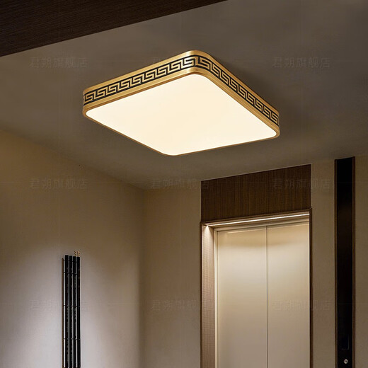Leshi (NVC) 2025 Nuevo 2025 NUEVA Luz de techo al aire libre Puerta impermeable a prueba de agua Villa china Villa de entrada de cobre Luz de entrada 1W X3891/Round 30 cm/Tres colores Ajustable