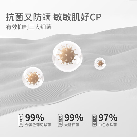 David Bellaculomi co-branded children's cotton T-shirt girls antibacterial bottoming shirt older children's autumn clothing