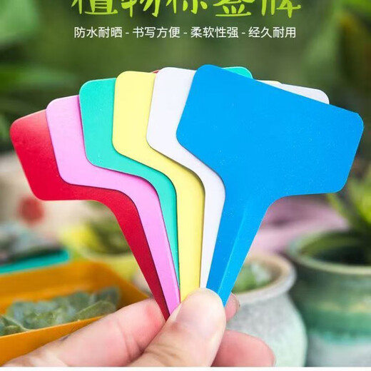 Gardening label succulent label identification vegetable flower label plant name record bonsai plastic ground label white 100 pieces