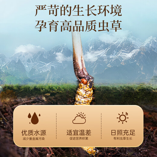 Lei Yun Shang Cordyceps Cordyceps gift box 5 pieces/g 3 grams 15 pieces. High-end holiday gifts. Give elder nutritional products.