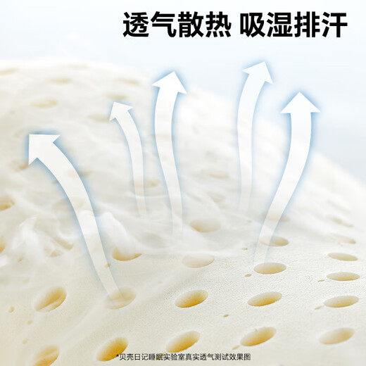 SHELL DIARY Thai natural children's latex pillow neck pillow 3-4-6-10-12 years old baby pillow