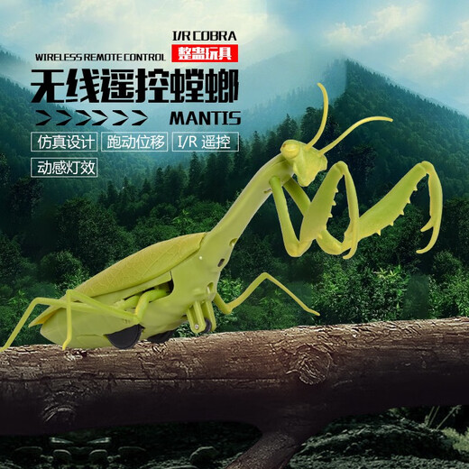 Mantis Fernbedienungssimulation Reptile Streichinsekten-Primar- und Sekundarschüler Spielzeug 3-7-8-12-jähriges Jungen und Mädchen klassische Version-Fernbedienungskontrolle Centipede Gelb und Schwarzes Modell 9901+ Snail upgradierte Version mit 22 Elektronik