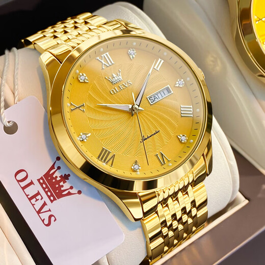 Amani Watch Popular Watch Men Mené Mecánico Comercio mecánico de alta gama Ciclón de alta gama Impermeable Doble Calendario Reloj Cinturón de acero-6630 habitaciones blancas de oro