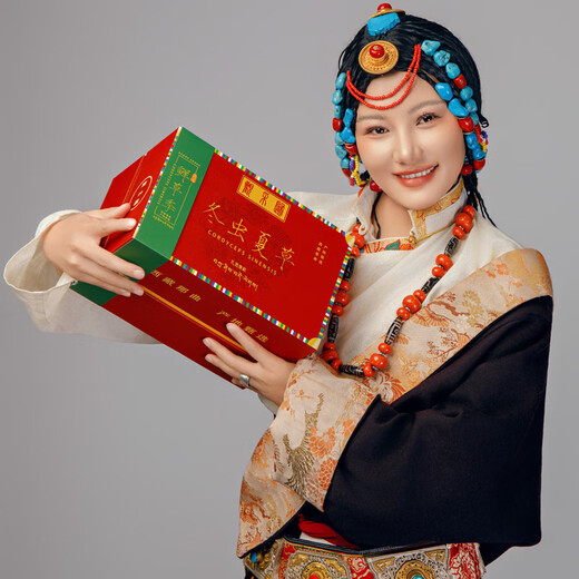 Beobachten und sammeln Sie wilden Cordyceps sinensis in Nagqu, Tibet. Frische Cordyceps-Ergänzungsmittel für ältere Menschen. Praktische Geschenkbox für ältere Menschen. Wildes frisches Gras der ersten Ernte, etwa 1,2 g/Wurzel, 100 Wurzeln.