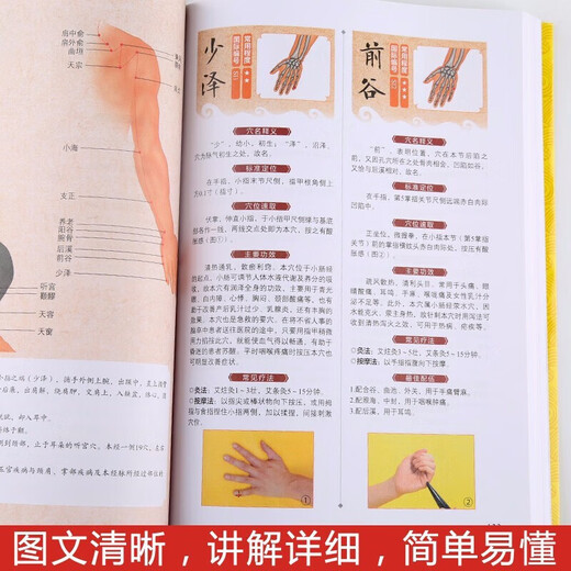 中医推拿按摩书 全2册 彩图版 零基础学会推拿按摩书籍手法 图解经络穴位+对症按摩大百科 图解对症按摩大百科