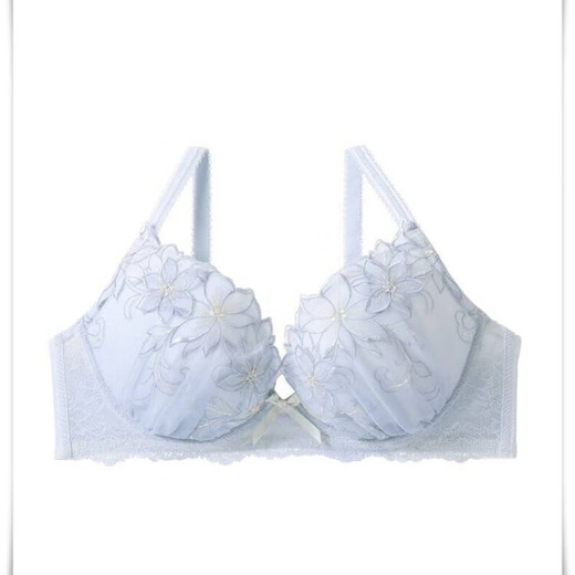 Yalu Risa, японский комплект D, тяжелая промышленность, изысканная вышивка, милая фея, бюстгальтер пуш-ап на косточках, чашка EF, голубая чашка, слишком маленькая 80B