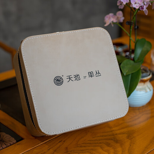 Tianchi 1392 Tianchi Tea Industry Travel Tea Set Phoenix Dantong Tea Kungfu Tea Set the Plate Fair