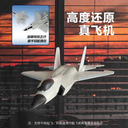 Tema Tongtong remote control fighter J-20 model aircraft model aircraft can fly fixed-wing aircraft toy children boy birthday gift 12 minutes - large J-35 four-way stunt 31 models