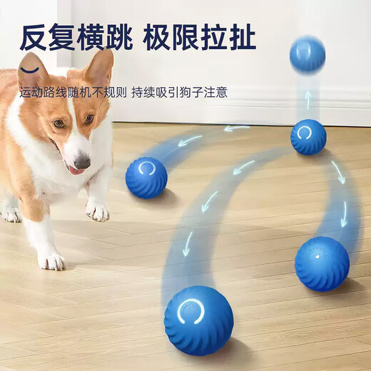 Pet Gravity Fully Automatic Dog Toy Ball Electric Intelligent Bite-Resistant Self-Happiness and Boredom Relief Pet Dog Walking Ball Physical Exhaustion Artifact