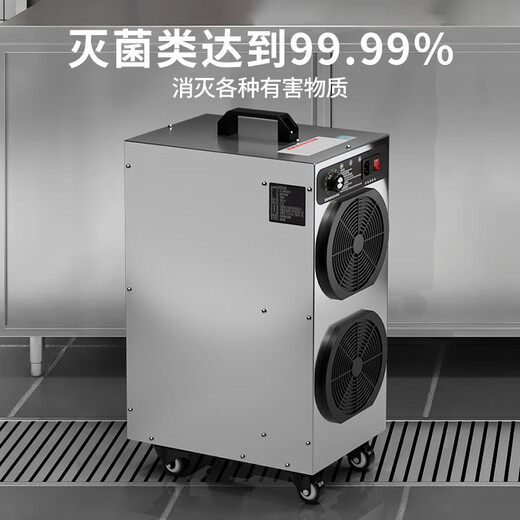 ANLEAVO ozone generator food factory disinfection ozone machine industrial workshop school hospital municipal garbage room cold storage warehouse archives air purifier sterilization, deodorization and odor removal 60g/h (applicable to 600-700 square meters)