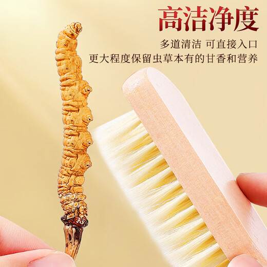 芝康纪冬虫夏草官方旗舰店正品特级虫草礼盒滋补营养品高端送礼送父母 2根/克 30g（尊享礼盒）