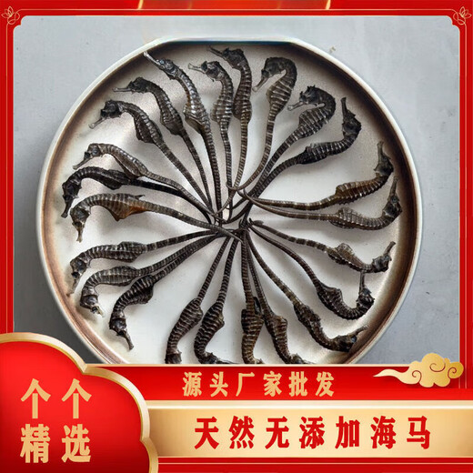 北京同仁堂足干正宗海马干货非中药材一对滋补泡酒配对煲汤公母非野肾阳高 5对装[9-11厘米]送6只特小海马