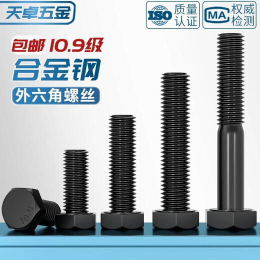 Tianzhuo Hardware M6-M64 10.9 level external hexagonal screw high strength bolt extension screw M8M10M12M14M16M18mm M27*100 1 piece