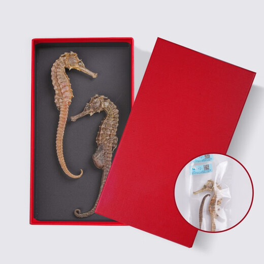 And Taoist Three-spotted seahorse 5g, male and female, gift box, male and female, genuine wine/stool, medicinal herbs for men