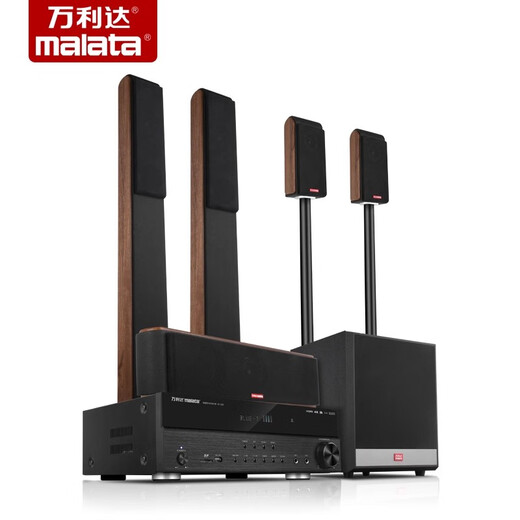 YTFY Voice of Berlin Yueyin No. 4 home theater audio set home living room TV wireless surround Bluetooth wooden luxury 5.1 home theater audio set