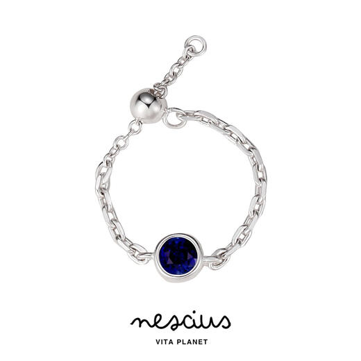 VitaPlanet Buyer Store Birthstone Ring 925 Sterling Silver Birthday Month Color Drawstring Ring December Tanzanite