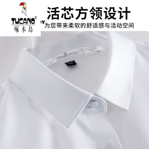 啄木鸟（TUCANO） 白衬衫男短袖免烫弹力商务正装工作服夏季纯白色半袖衬 6187D 38
