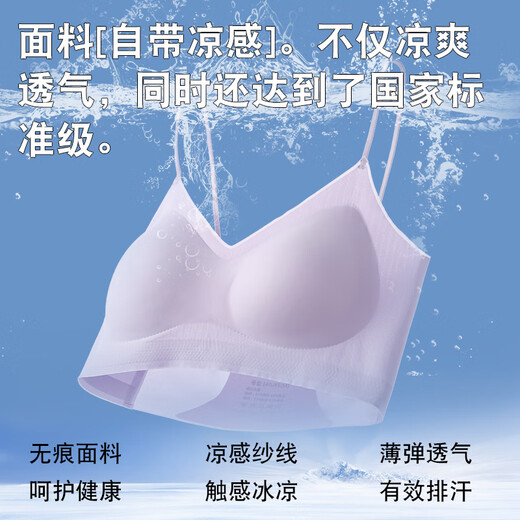 Yu Zhaolin Slin House Strap, ropa interior para mujeres en verano de estilo delgado, sin rastros, pechos pequeños, recolectados, espalda hermosa, sin anillos de acero, sujetador de mujer, púrpura + color champán [2 piezas] m [adecuado para 34/75ABC]