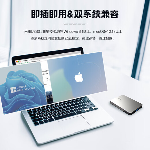 东芝（TOSHIBA）Mac 移动硬盘1t 2t 4t flex 适用Macbookpro 非固态 2TB 接安卓机：航空包+硅胶套+原装线+Typec直连线