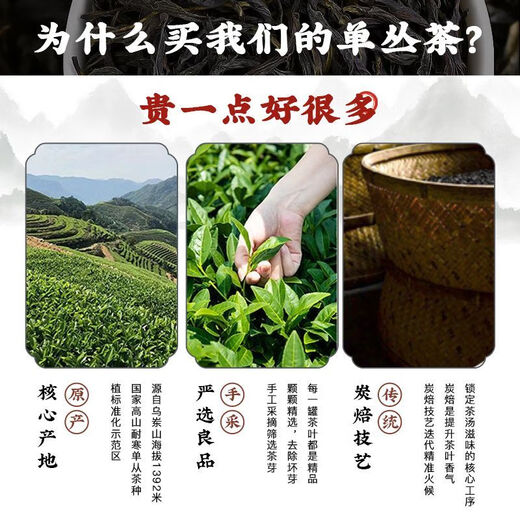 天池1392凤凰单枞茶四大香型正宗潮州鸭屎香单丛茶青山品鉴装28g 4泡*7克（青山精品）