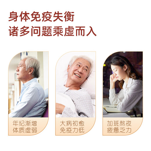 哈药破壁灵芝孢子粉胶囊 增强免疫力成人中老年送长辈营养品 2瓶装【效期到26年2月】