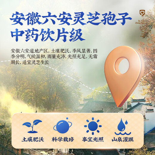 Jiuzhou Tianrun Ganoderma spores 100g (1g 100)/box Chinese herbal medicine pieces to strengthen the body, strengthen the spleen and stomach, replenish essence and qi, used for post-illness physical weakness, frail and sick people to enhance immunity