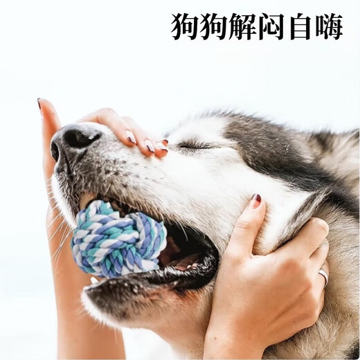 Dog Toy Resistant to Bite and Molar Teeth Cleaning Set Cotton Rope Braided Ball Interactive Training Screaming Chicken Dog Supplies Collection Dog Relief Six-piece Set - Popular Style - Random Colors