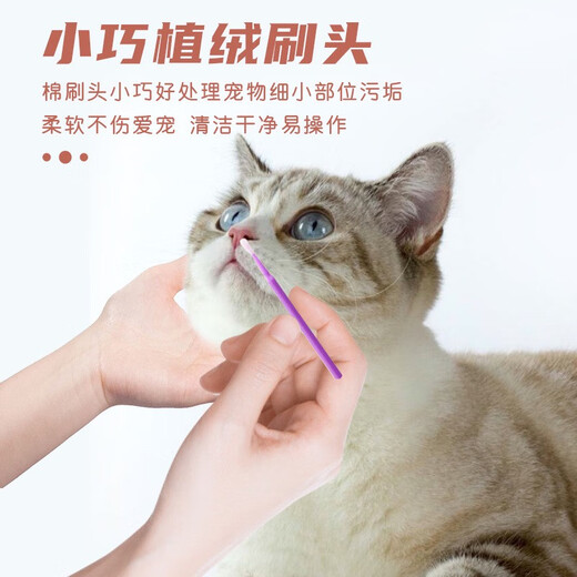 Pet cleaning nostril tear line cotton swabs 100 pieces dog and cat ear cleaning tool cotton swab nostril nasal mucus cleaning cotton swab bottle 100 small purple