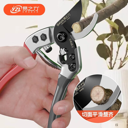 Yizhili pruning shears, special scissors for gardening branches, floral pruning, flower pruning scissors, fruit trees and flowers, guillotine type + imported large folding saw + waist box