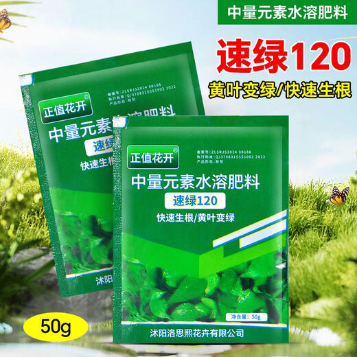Quick Green 120 Foliar Fertilizer Chlorophyll Genuine Thick Leaf Vegetables Flowers Fruits and Vegetables Universal Water-Soluble Fertilizer Factory Direct Sales Powerful Quick Green 120 50g*50 Bags Affordable