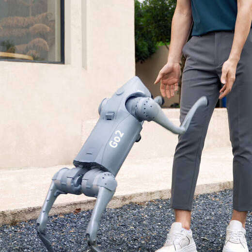 Yushu (Unitree) Go2 AI Big Model Robot Dog Go2 Electronic Dog Intelligened Companion Companion Robot Robot de cuatro patas Dog GO2-Air