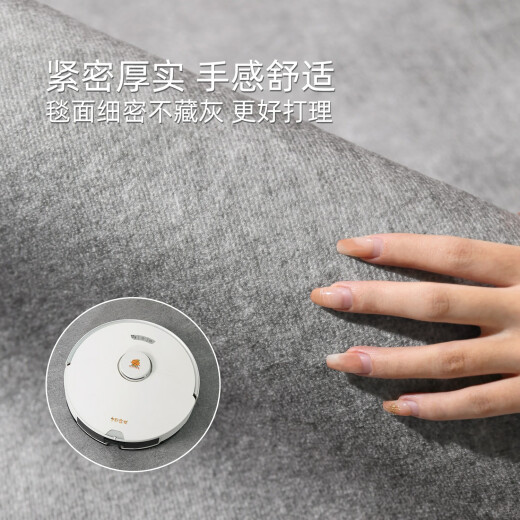 地毯客厅2024新款轻奢沙发毯免洗可擦加厚纯色床边毯灰色地垫 冬岩-16780 1件 140CM*200CM新升级防水丝