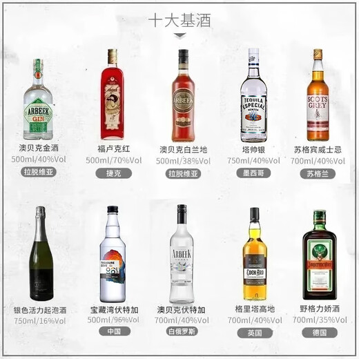 Aobeck Tequila Diy cocktail Set Whisky Vodka Brandy Gin Rum Wine Combination Top 10 Base Wine Mid-Level 10 Bouteilles