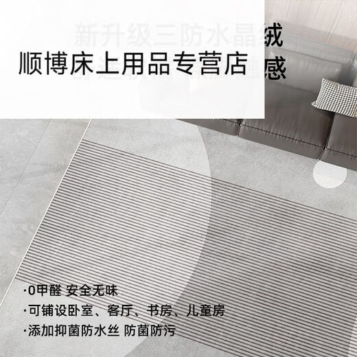 Wenshiou Carpet Living Room 2024 new light luxury sofa floor mat without washing and erasable room bedroom home coffee table blanket thick modern 15601 1 piece 240*300CM (customized model, no return or replacement)