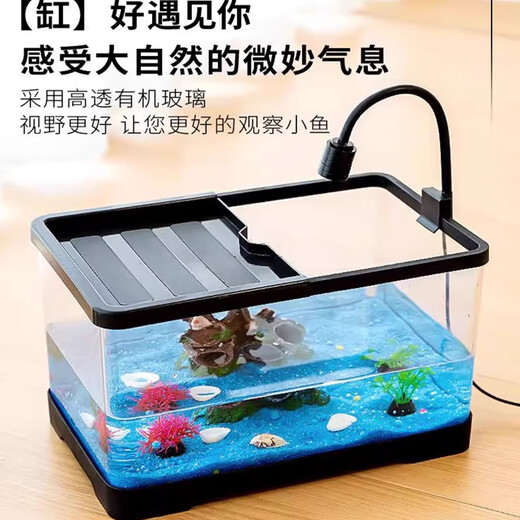 Turtle tank household landscaping filter cycle sunbathing platform climbing platform acrylic ecological mixed fish tank small turnover box sunbathing lamp
