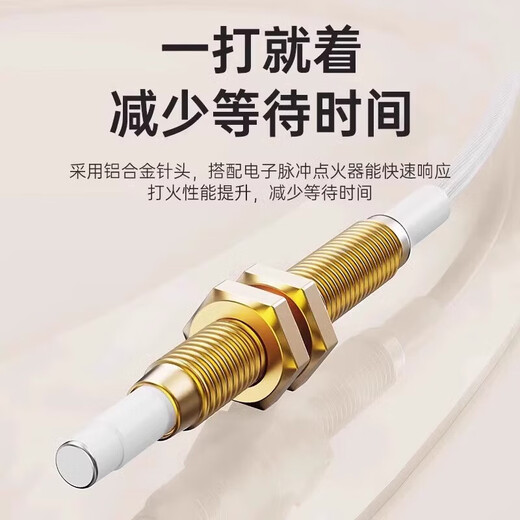 Estufa de gas aguja de encendido universal Dispositivo de encendido de gas natural Aguja de inducción estufa de gas horno de vatti jefe y otros accesorios [versión general] aguja de encendido + aguja de inducción (1 set)