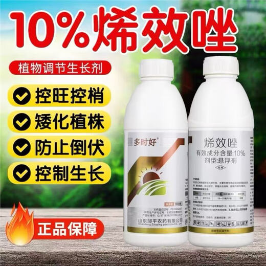 10% Uniconazole Controls Growth, Controls Shoots, Resists Lodging and Stunts, Controls Growth of Fruit Trees and Vegetables, Plant Growth Regulator 1000g