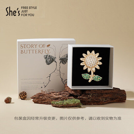 She s Qianzi light and simple mini exquisite anti-exposure buckle brooch niche design coat corsage birthday gift for girlfriend