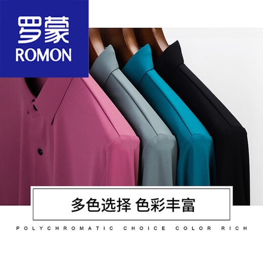 罗蒙（ROMON）男装 仿桑蚕丝衬衫男长袖免烫刺绣无痕衬衣秋季中年男士商务 黑色6221 165/80A