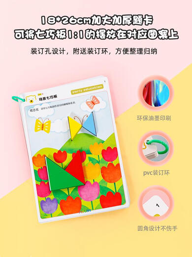 蓝彩何儿童场景七巧板拼图纸教具早教智力磁力玩具幼儿园小学生练习题卡 磁性进阶版套装
