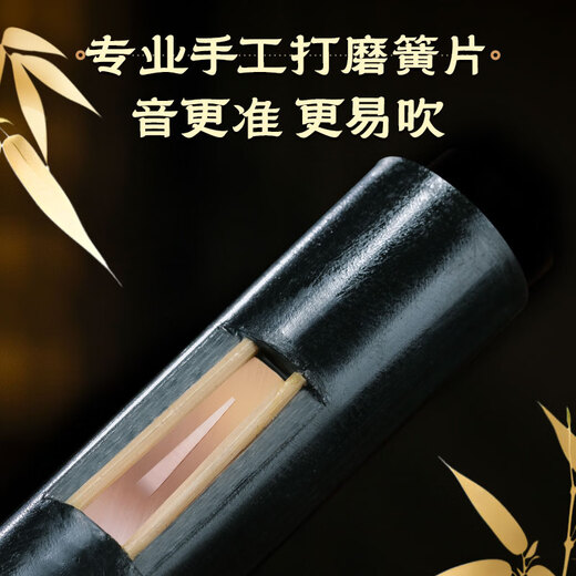 
Golden Peacock Redwood Hulu Silk C-tune Primary School Students Professional Performance Level B-tune Beginners Adults Ebony Flagship Store Musical Instruments Redwood Pipe Double Peacock [Standard C-tune] + Giveaway