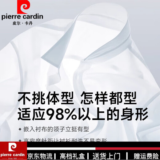 皮尔卡丹（PIERRE CARDIN）高端品牌男士衬衫长袖感免烫商务正装春夏季休闲条纹白衬衣 高端DX6626【现货速发】 40