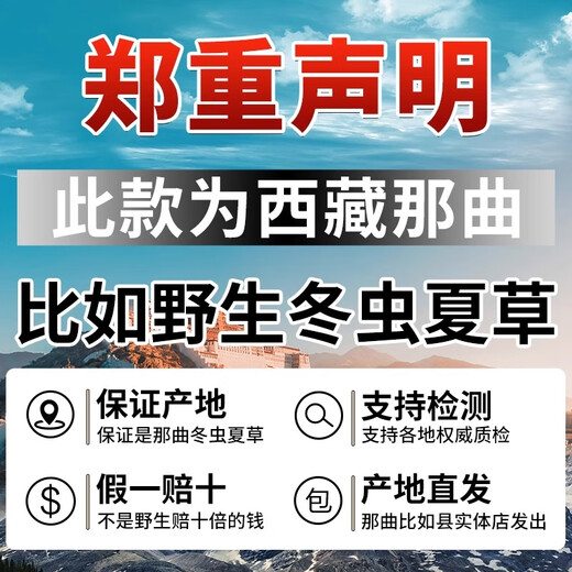 东仔【西藏那曲】野生冬虫夏草高海拔野生虫草断草滋补品礼盒送长辈 【西藏那曲野生】大号断草-全家滋补 20克（礼盒装）