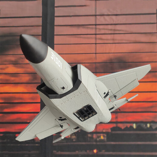 Tema Tongtong remote control fighter J-20 model aircraft model aircraft can fly fixed-wing aircraft toy children boy birthday gift 12 minutes - large J-35 four-way stunt 31 models