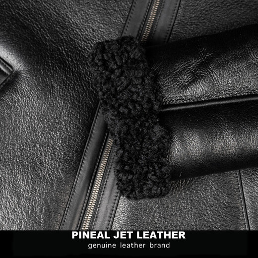 PJL new men's short fashion casual genuine leather fur one-piece wool lapel sheepskin leather jacket black M (130Jin Jin is equal to less than 0.5kg)