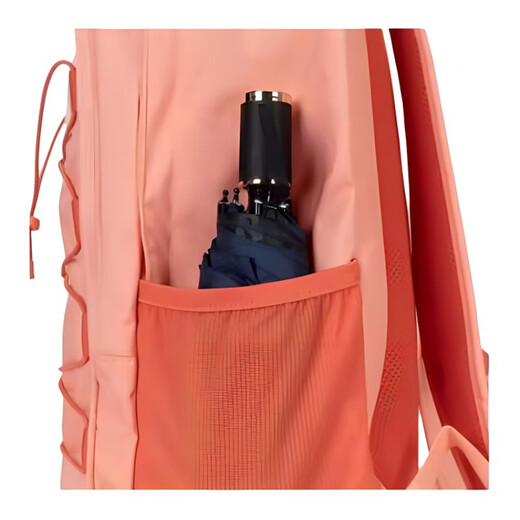 Nike Nike Travel Fashion Stoff Rucksack reguläre Männer und Frauen gleiches Model Paar Pink Orange Pink Orange